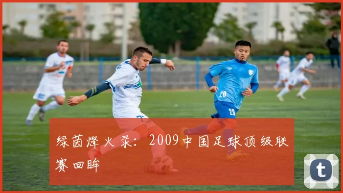 绿茵烽火录：2009中国足球顶级联赛回眸